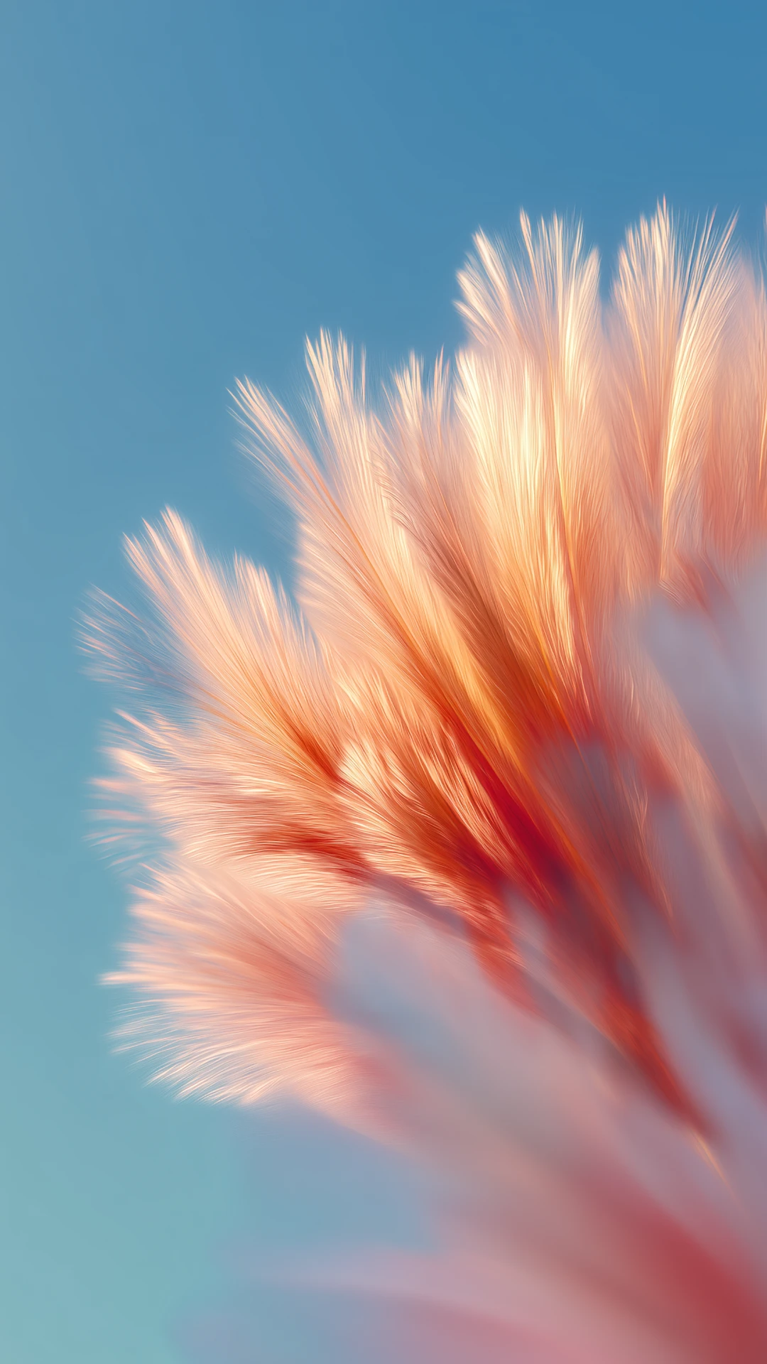 Bold Pastel Floral Mobile Wallpapers