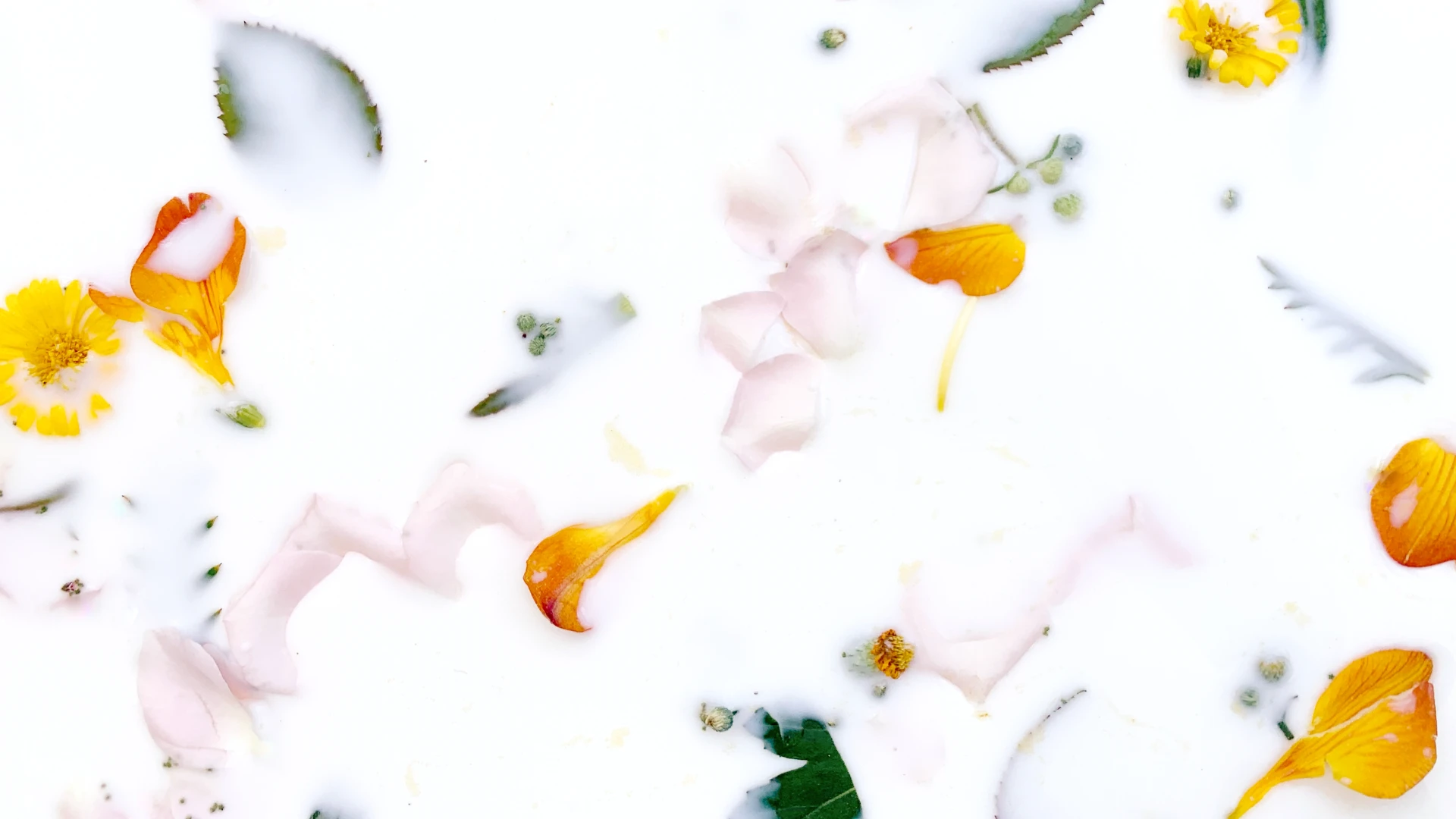 Bold Abstract Summer Desktop Wallpaper