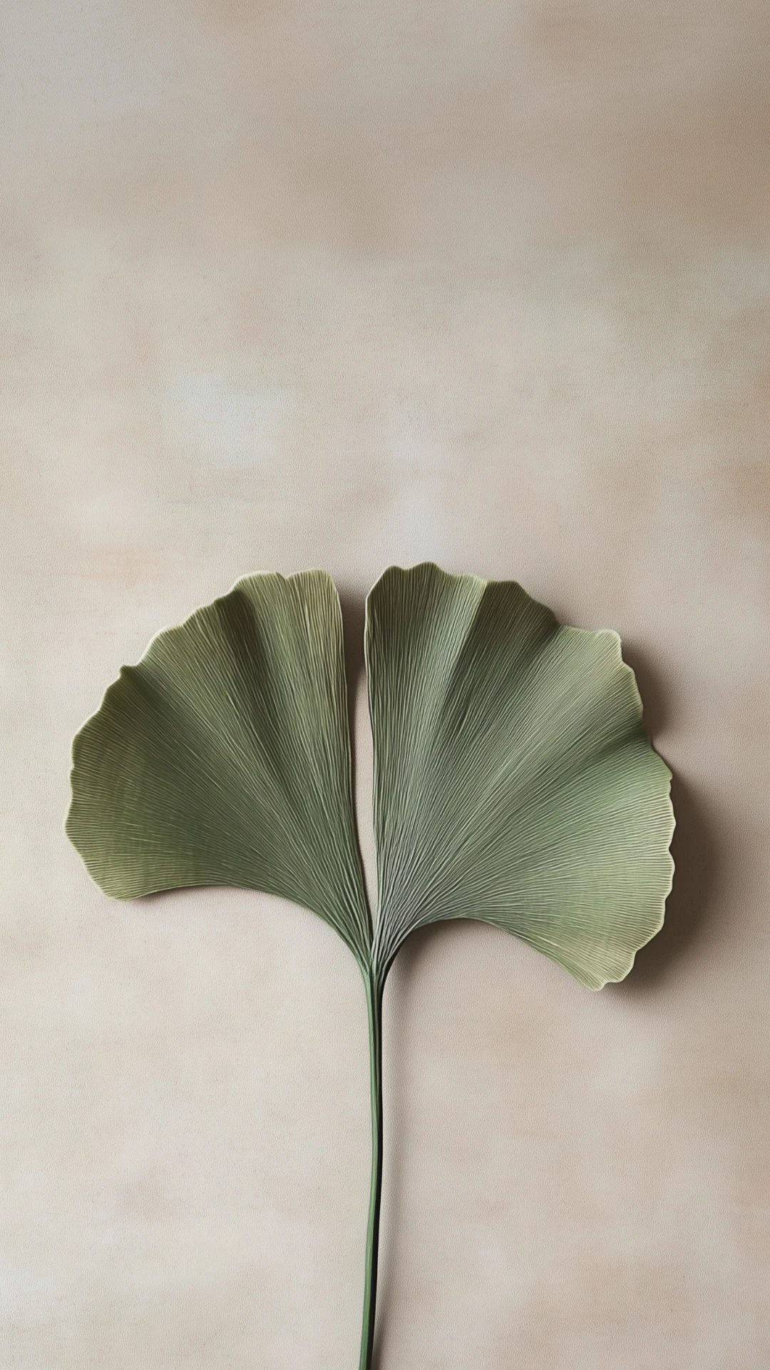 Minimalist Clean Nature Mobile Wallpapers