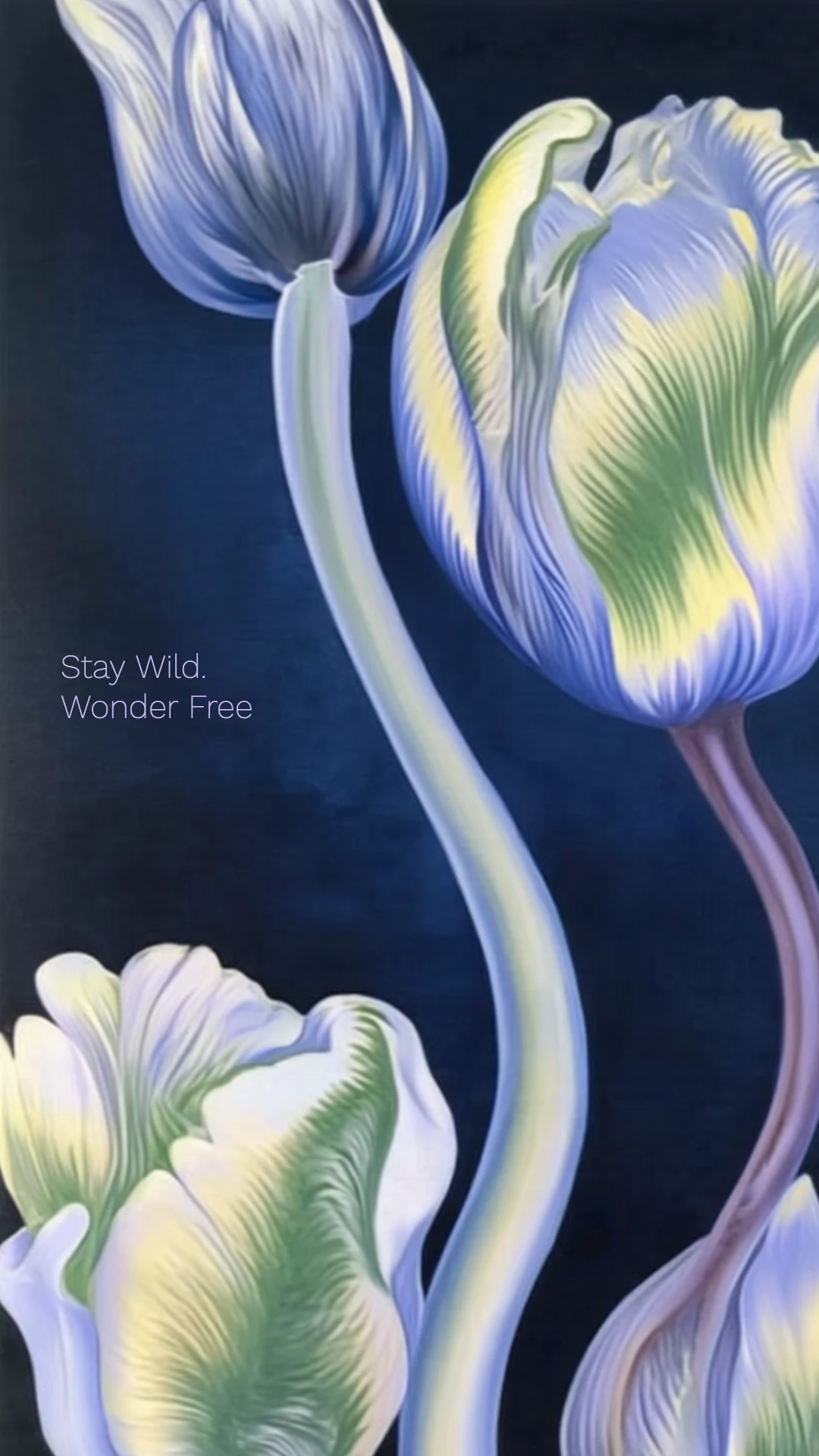 Floral Illustrative Nature Mobile Wallpaper