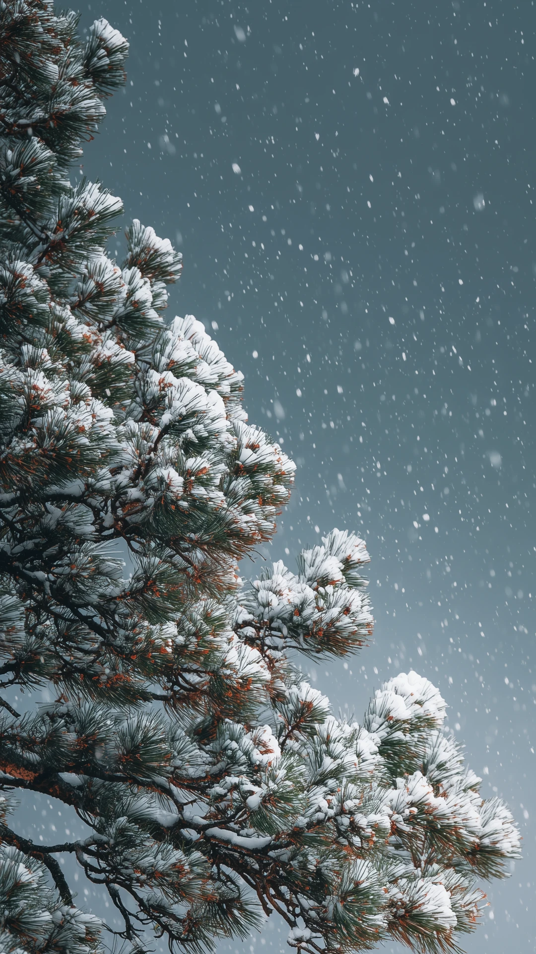 Natural Clean Christmas Mobile Wallpaper