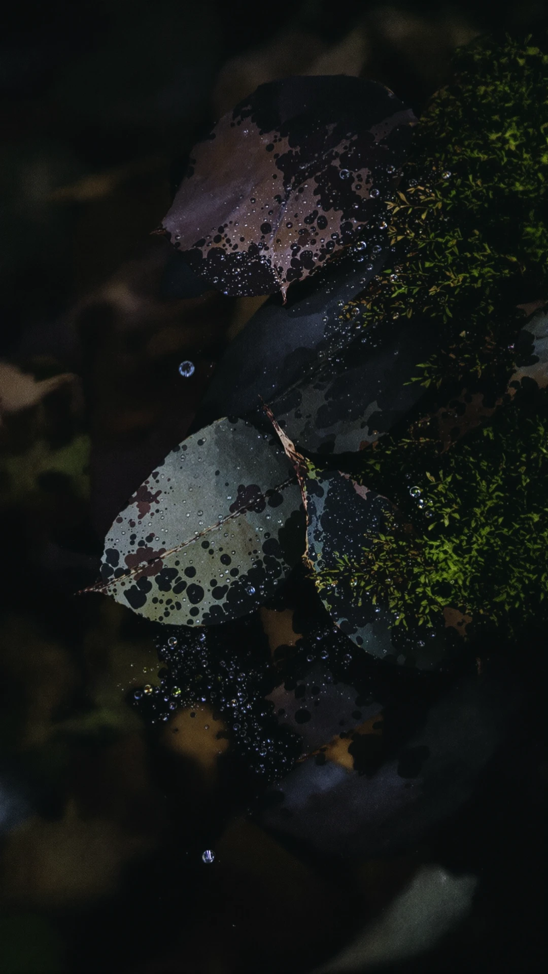 Edgy Dark Nature Mobile Wallpaper