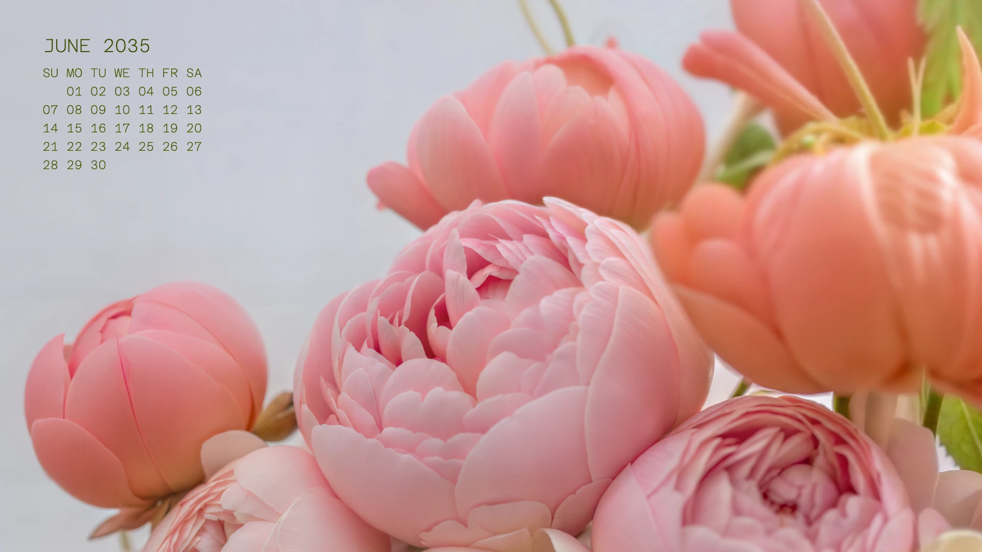 Elegant Clean Nature Desktop Wallpaper