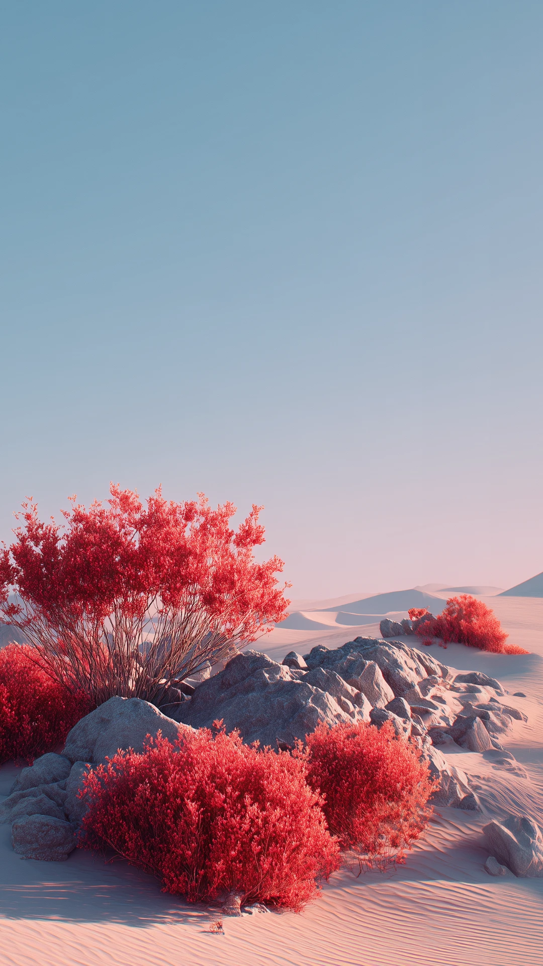 Minimalist Clean Floral Mobile Wallpapers